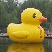 inflatable swim ring duck
